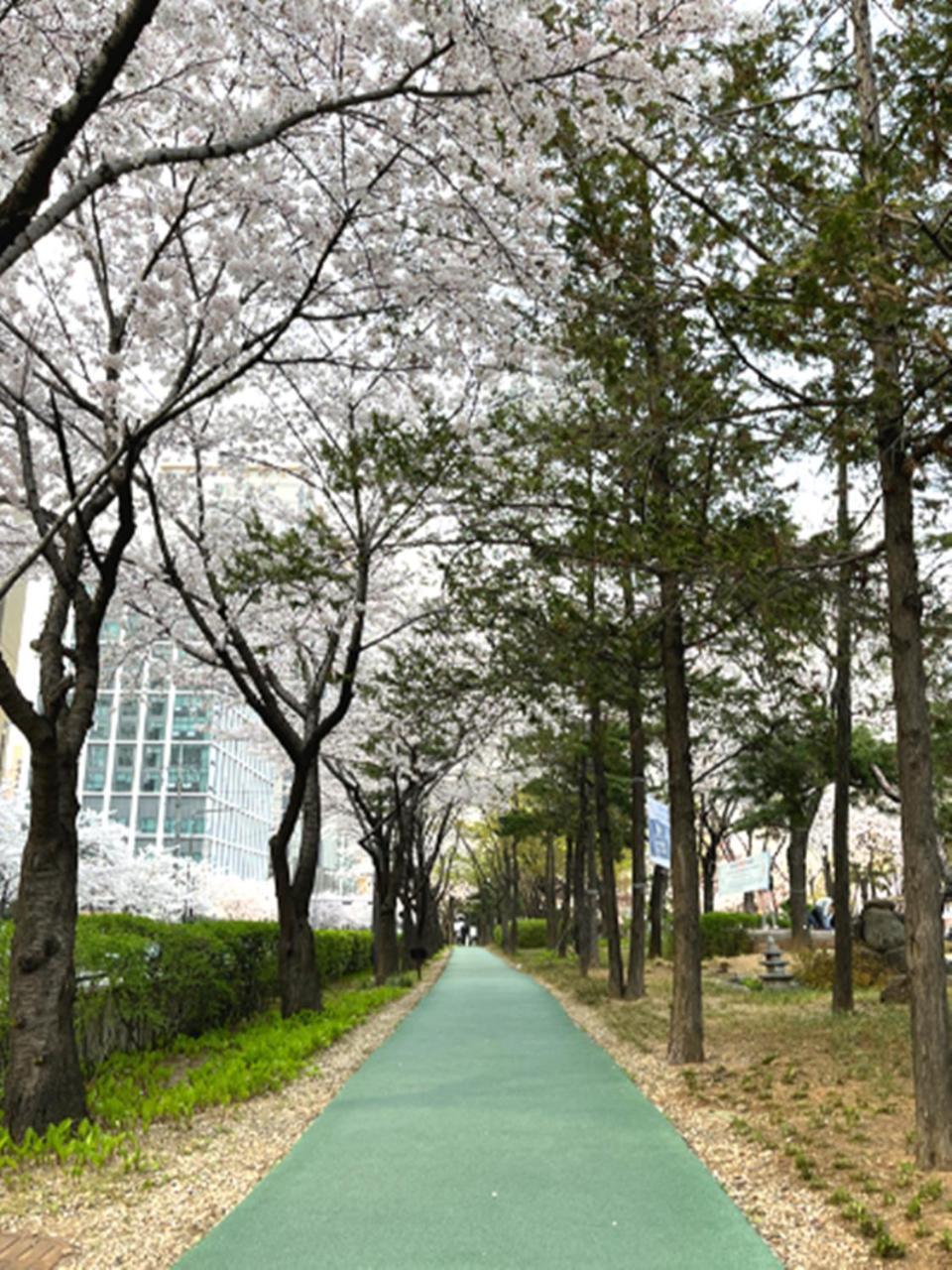 Jeongdam Otel Seul Dış mekan fotoğraf
